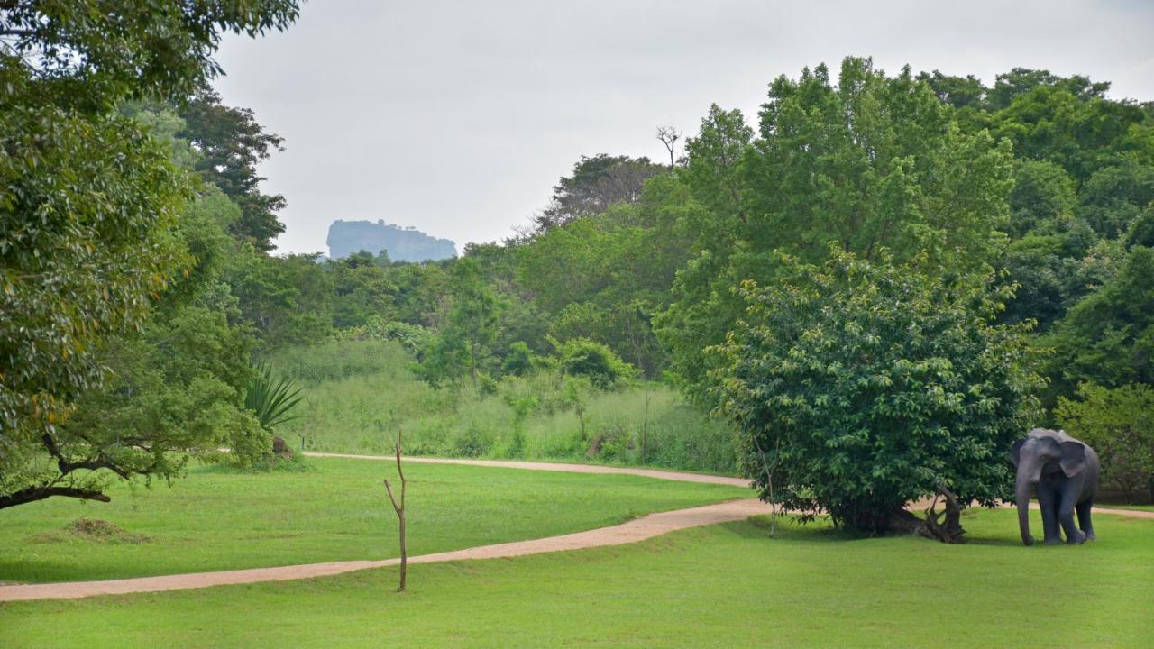 The Elephant Corridor Hotel Sigiriya Exterior photo